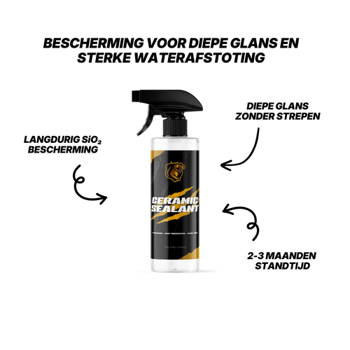 Ceramic Sealant