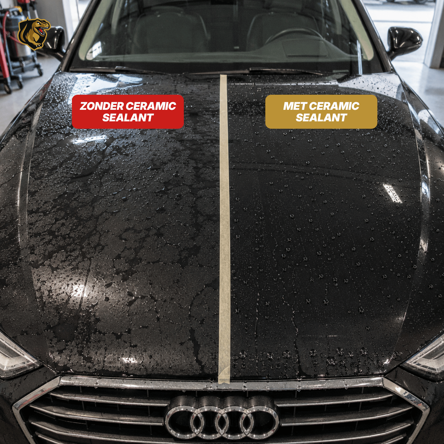 Ceramic Sealant