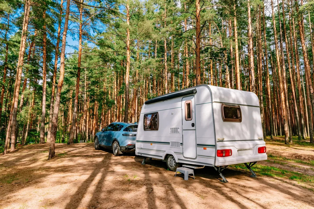 CARAVAN